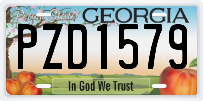 GA license plate PZD1579