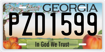 GA license plate PZD1599