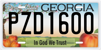 GA license plate PZD1600