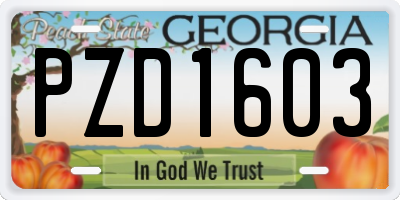 GA license plate PZD1603