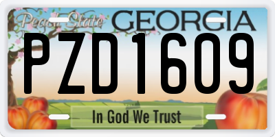 GA license plate PZD1609