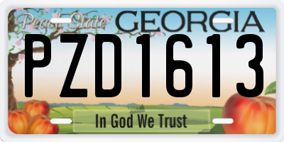 GA license plate PZD1613