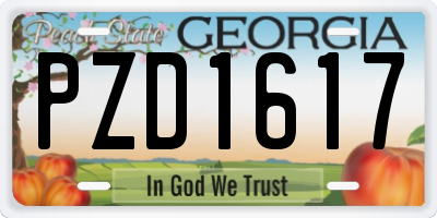 GA license plate PZD1617