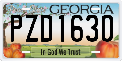 GA license plate PZD1630