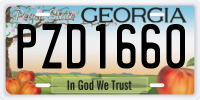 GA license plate PZD1660
