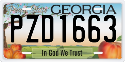 GA license plate PZD1663
