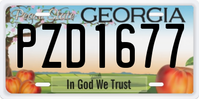 GA license plate PZD1677