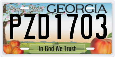 GA license plate PZD1703