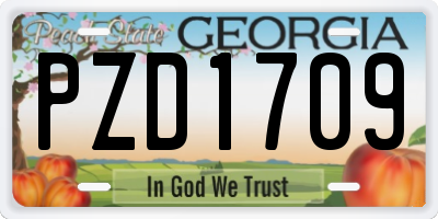 GA license plate PZD1709