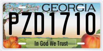 GA license plate PZD1710