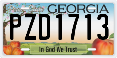 GA license plate PZD1713