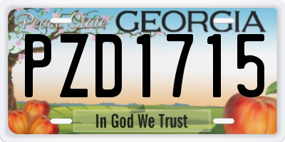 GA license plate PZD1715