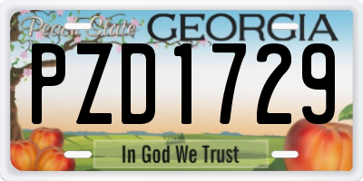 GA license plate PZD1729