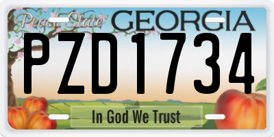 GA license plate PZD1734