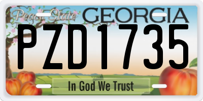 GA license plate PZD1735