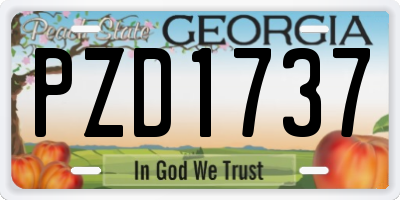 GA license plate PZD1737