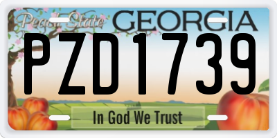 GA license plate PZD1739