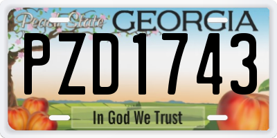 GA license plate PZD1743