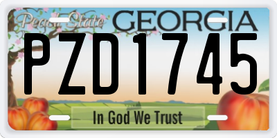GA license plate PZD1745