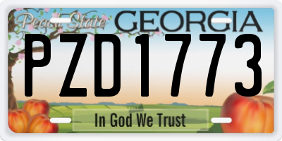 GA license plate PZD1773