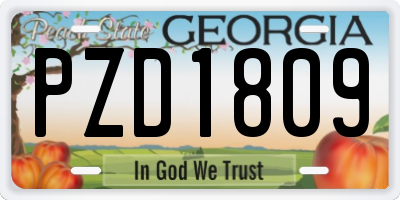 GA license plate PZD1809
