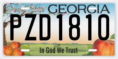 GA license plate PZD1810