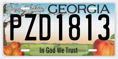 GA license plate PZD1813