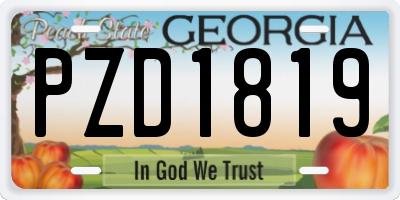 GA license plate PZD1819