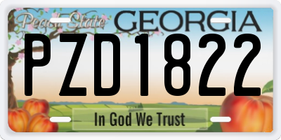 GA license plate PZD1822