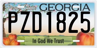 GA license plate PZD1825