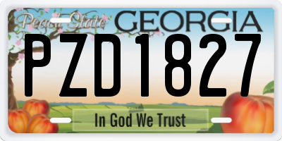 GA license plate PZD1827