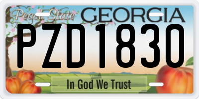 GA license plate PZD1830