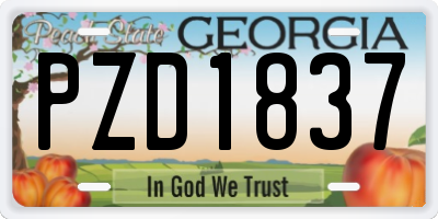 GA license plate PZD1837