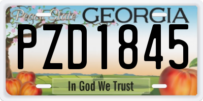 GA license plate PZD1845