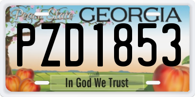 GA license plate PZD1853