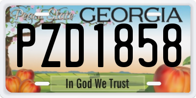 GA license plate PZD1858
