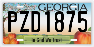 GA license plate PZD1875