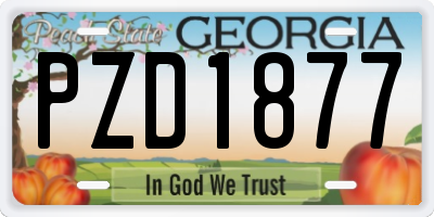 GA license plate PZD1877
