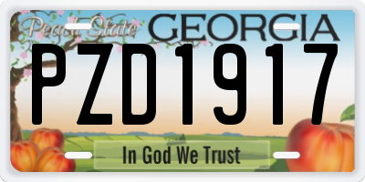 GA license plate PZD1917