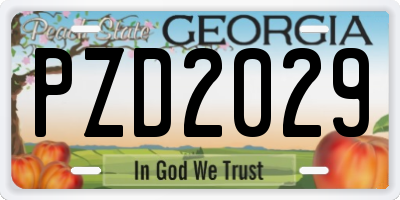 GA license plate PZD2029