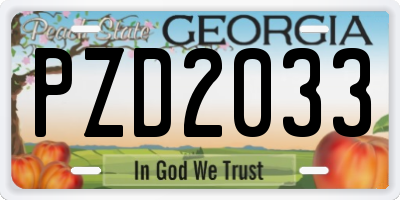 GA license plate PZD2033
