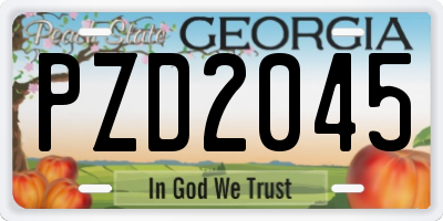 GA license plate PZD2045