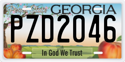 GA license plate PZD2046