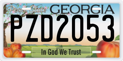 GA license plate PZD2053