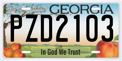 GA license plate PZD2103