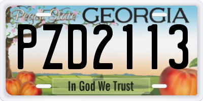 GA license plate PZD2113