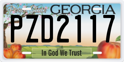 GA license plate PZD2117