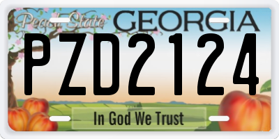 GA license plate PZD2124