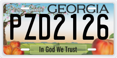 GA license plate PZD2126