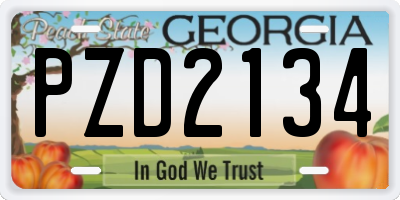 GA license plate PZD2134
